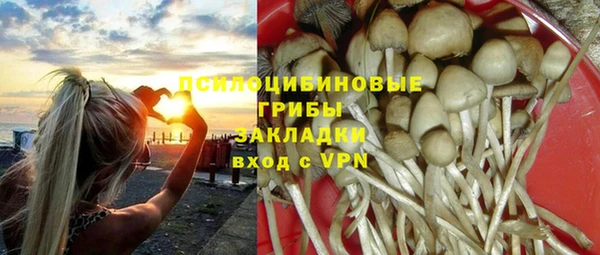 прущая мука Алзамай